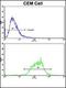 Serum/Glucocorticoid Regulated Kinase 1 antibody, orb304580, Biorbyt, Flow Cytometry image 