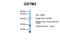 Glutathione S-Transferase Mu 3 antibody, A03298, Boster Biological Technology, Western Blot image 