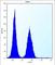 Abl Interactor 2 antibody, abx026891, Abbexa, Western Blot image 