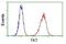 Transketolase antibody, NBP2-02292, Novus Biologicals, Flow Cytometry image 