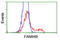 LRAT Domain Containing 2 antibody, LS-C172443, Lifespan Biosciences, Flow Cytometry image 