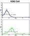 Lipin 2 antibody, abx034008, Abbexa, Flow Cytometry image 