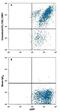 Cannabinoid Receptor 1 antibody, FAB3834A, R&D Systems, Flow Cytometry image 