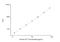 Procalcitonin antibody, NBP2-81267, Novus Biologicals, Enzyme Linked Immunosorbent Assay image 