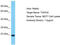 Trans-Golgi Network Vesicle Protein 23 Homolog C antibody, TA330862, Origene, Western Blot image 