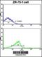 Neuronal Calcium Sensor 1 antibody, 58-187, ProSci, Flow Cytometry image 