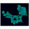 Aldehyde Dehydrogenase 5 Family Member A1 antibody, GTX57651, GeneTex, Immunofluorescence image 