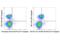 Interleukin 7 Receptor antibody, 35094S, Cell Signaling Technology, Flow Cytometry image 