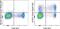 Killer Cell Lectin Like Receptor G1 antibody, 63-9488-42, Invitrogen Antibodies, Flow Cytometry image 