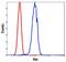 Vav Guanine Nucleotide Exchange Factor 1 antibody, PA5-17834, Invitrogen Antibodies, Flow Cytometry image 