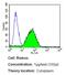 LCK Proto-Oncogene, Src Family Tyrosine Kinase antibody, MA5-12303, Invitrogen Antibodies, Flow Cytometry image 