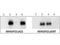 Rho GTPase Activating Protein 22 antibody, NBP1-44072, Novus Biologicals, Western Blot image 