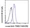 Hepatitis A Virus Cellular Receptor 2 antibody, 46-495, ProSci, Immunofluorescence image 