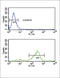 Vitronectin antibody, abx033416, Abbexa, Flow Cytometry image 