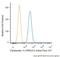 Keratin 14 antibody, NBP2-34403AF647, Novus Biologicals, Flow Cytometry image 