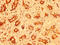 Myeloid Zinc Finger 1 antibody, LS-C671393, Lifespan Biosciences, Immunohistochemistry paraffin image 