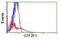 General Transcription Factor IIF Subunit 2 antibody, NBP2-01265, Novus Biologicals, Flow Cytometry image 