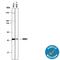 Mitogen-Activated Protein Kinase 1 antibody, MAB1230, R&D Systems, Western Blot image 