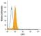 Lymphocyte Transmembrane Adaptor 1 antibody, PA5-47652, Invitrogen Antibodies, Flow Cytometry image 