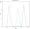 NME/NM23 Nucleoside Diphosphate Kinase 1 antibody, RP1090, Boster Biological Technology, Flow Cytometry image 