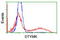 Thymidylate kinase antibody, TA503492, Origene, Flow Cytometry image 