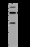 Integrator Complex Subunit 11 antibody, 201403-T36, Sino Biological, Western Blot image 