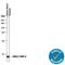 Pro-Platelet Basic Protein antibody, AF393, R&D Systems, Western Blot image 