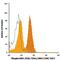 Mitogen-Activated Protein Kinase 1 antibody, IC7806G, R&D Systems, Flow Cytometry image 