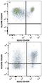 Activated Leukocyte Cell Adhesion Molecule antibody, FAB1172P, R&D Systems, Flow Cytometry image 