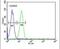 Empty Spiracles Homeobox 2 antibody, PA5-25456, Invitrogen Antibodies, Flow Cytometry image 