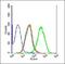 Interactor Of Little Elongation Complex ELL Subunit 2 antibody, orb101660, Biorbyt, Flow Cytometry image 