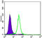 Cadherin 1 antibody, abx012163, Abbexa, Enzyme Linked Immunosorbent Assay image 