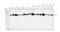 Protein Disulfide Isomerase Family A Member 5 antibody, A09898, Boster Biological Technology, Western Blot image 