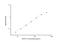 Pancreatic Lipase antibody, NBP2-81258, Novus Biologicals, Enzyme Linked Immunosorbent Assay image 