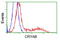 Crystallin Alpha B antibody, CF500599, Origene, Flow Cytometry image 