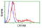 HspB5 antibody, CF500599, Origene, Flow Cytometry image 