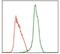 MPL Proto-Oncogene, Thrombopoietin Receptor antibody, GTX60540, GeneTex, Flow Cytometry image 