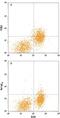 Fc receptor-like A antibody, MAB7905, R&D Systems, Flow Cytometry image 