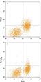 Fc Receptor Like A antibody, MAB7905, R&D Systems, Flow Cytometry image 