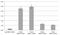 SATB Homeobox 2 antibody, NBP1-03328, Novus Biologicals, Immunoprecipitation image 