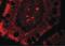 Protein Sanroque antibody, PA5-34519, Invitrogen Antibodies, Immunofluorescence image 