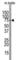 SRY-Box 30 antibody, abx032772, Abbexa, Western Blot image 