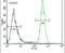 Putative golgin subfamily A member 2B antibody, PA5-24076, Invitrogen Antibodies, Flow Cytometry image 