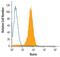 IKAROS Family Zinc Finger 1 antibody, PA5-47682, Invitrogen Antibodies, Flow Cytometry image 