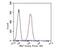 NIMA Related Kinase 7 antibody, NBP2-80470, Novus Biologicals, Flow Cytometry image 