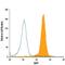 Basic Leucine Zipper ATF-Like Transcription Factor antibody, IC8054A, R&D Systems, Flow Cytometry image 