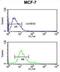 Inosine Monophosphate Dehydrogenase 2 antibody, abx033370, Abbexa, Flow Cytometry image 