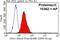 Checkpoint Kinase 1 antibody, 10362-1-AP, Proteintech Group, Flow Cytometry image 