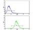 CD36 Molecule antibody, F48293-0.4ML, NSJ Bioreagents, Western Blot image 