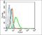 Calcium/Calmodulin Dependent Protein Kinase Kinase 2 antibody, orb100728, Biorbyt, Flow Cytometry image 